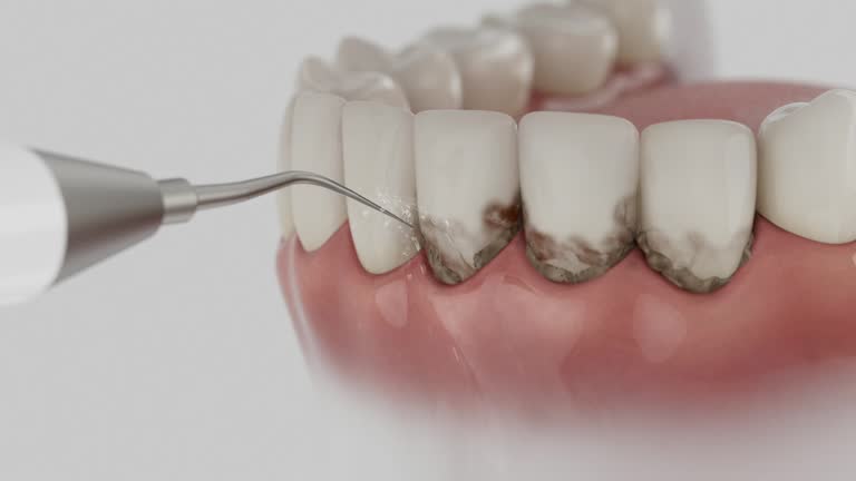 Reliable Dental contractor in East Bethel, MN by Dentist Open Now